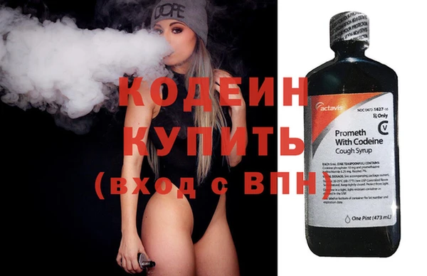 прущие грибы Краснотурьинск