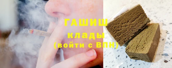 прущие грибы Краснотурьинск