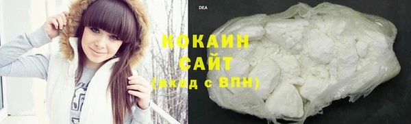 прущие грибы Краснотурьинск