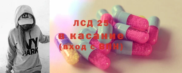 прущие грибы Краснотурьинск