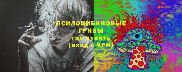 прущие грибы Краснотурьинск