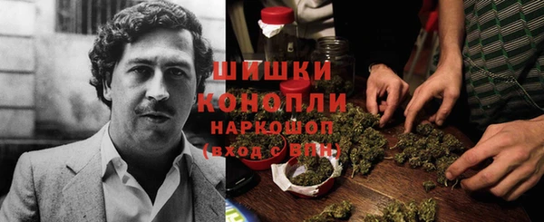 PSILOCYBIN Красноперекопск