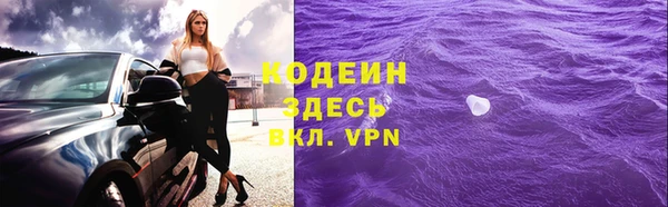 прущие грибы Краснотурьинск
