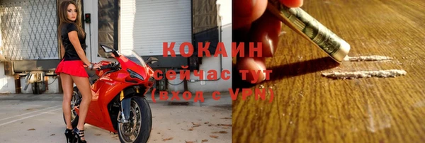 прущие грибы Краснотурьинск