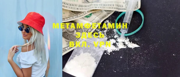прущие грибы Краснотурьинск