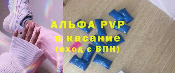 прущие грибы Краснотурьинск